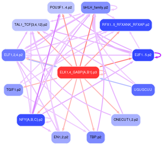 PNG image of the network